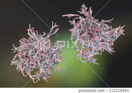 Human parasitic amoeba with pseudopodia 112218564