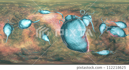 Trichomonas vaginalis protozoan, 360 degree panorama view Trichomonas vaginalis protozoan, 360 degree panorama view 112218625