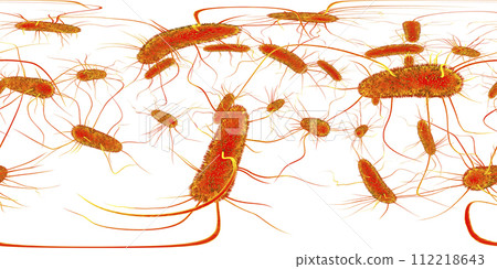360-degree spherical panorama of Salmonella bacteria 112218643