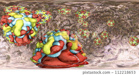 Rhinoviruses, the viruses which cause common cold Rhinoviruses, the viruses which cause common cold 112218653