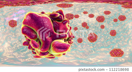 Polioviruses, 360 degree spherical panorama view 112218698