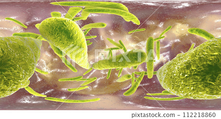360-degree spherical panorama of bacteria Mycobacterium tuberculosis 112218860