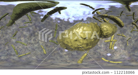360-degree spherical panorama of bacteria Lactobacillus 360-degree spherical panorama of bacteria Lactobacillus 112218866