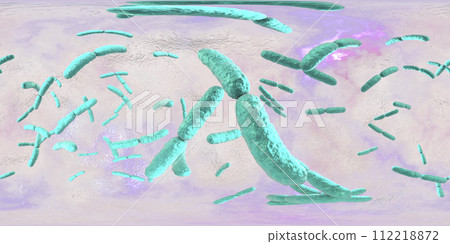 360-degree spherical panorama of bacteria Lactobacillus 112218872