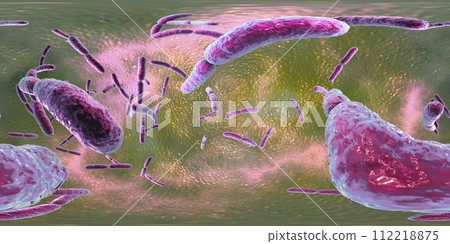 360-degree spherical panorama of bacteria Lactobacillus 360-degree spherical panorama of bacteria Lactobacillus 112218875