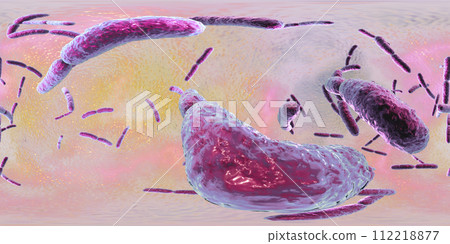 360-degree spherical panorama of bacteria Lactobacillus 360-degree spherical panorama of bacteria Lactobacillus 112218877