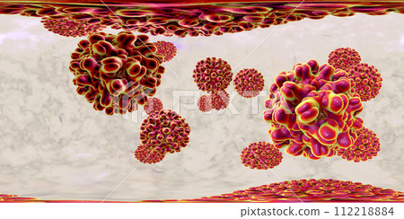 360 degree panorama view of Hepatitis B viruses 112218884
