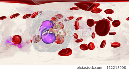 360-degree spherical panorama of eosinophil, a white blood cell in blood 112218908