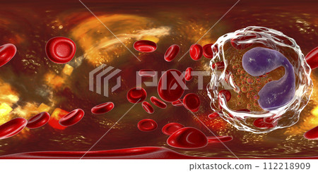 360-degree spherical panorama of eosinophil, a white blood cell in blood 112218909