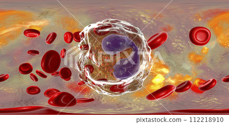360-degree spherical panorama of eosinophil, a white blood cell in blood 112218910