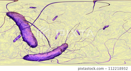 Clostridium difficile bacteria, 360 degree spherical panorama view 112218932