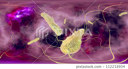 Clostridium difficile bacteria, 360 degree spherical panorama view 112218934