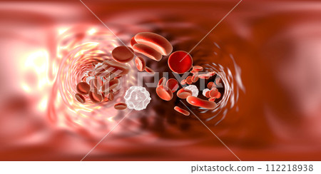Panorama view inside blood vessel 112218938