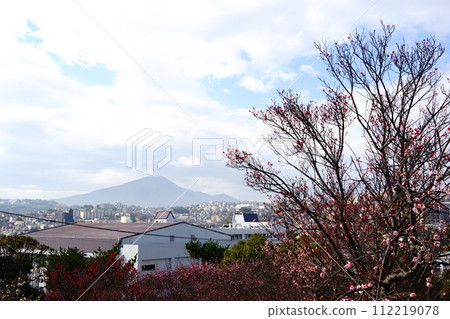 Yamiya Umebayashi and Mt. Sarakura Yamiya Umebayashi and Mt. Sarakura 112219078