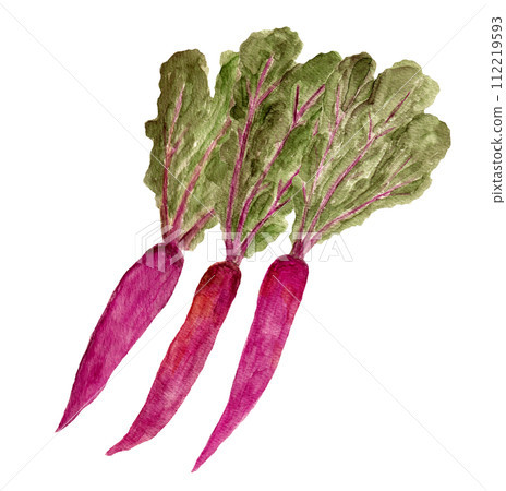 片平茜手繪水彩插圖排隊 112219593