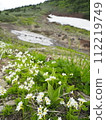 Remaining snow and Hinazakura 112219749