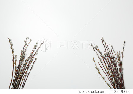 Spring holiday - Easter, concept of Easter with willow Spring holiday - Easter, concept of Easter with willow 112219834