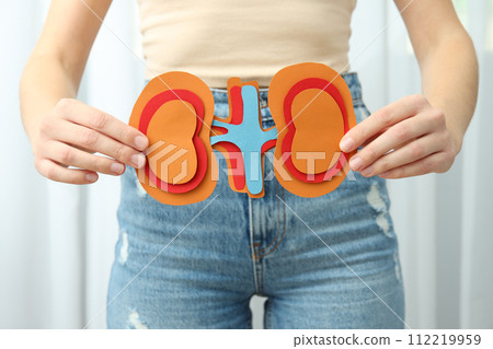 Kidneys in human hands, concept for national kidney day. Kidneys in human hands, concept for national kidney day. 112219959