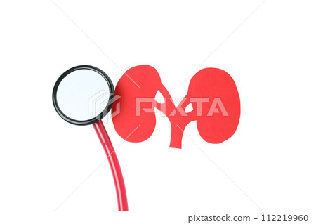 PNG, paper kidneys, for National Kidney Month, isolated on white background. PNG, paper kidneys, for National Kidney Month, isolated on white background. 112219960