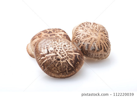 新鮮香菇、原木香菇、原木香菇、生香菇、天然栽培 112220039