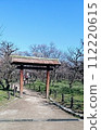 Plum garden 112220615