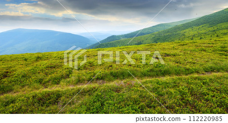 hiking trail through green hillside. vast green meadows of carpathian mountain landscape. outdoor summer vacations 112220985