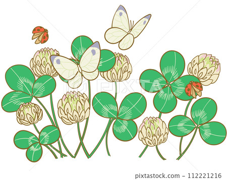 白三葉草和monsacea 白三葉草和monsacea 112221216