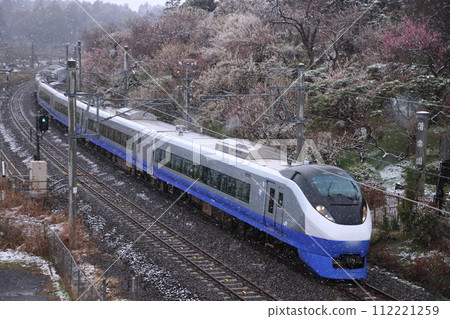 E657 series train (revival color) running through Kairakuen Garden with plum blossoms in full bloom and falling snow_Photo taken on February 23, 2024 112221259