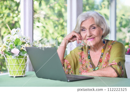 Senior woman with laptop in country house 112222325