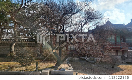 ancient palace 112222526