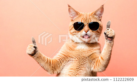 Adorable striped cat in sunglasses playfully sticks out its tongue and raises both paws as if giving double thumbs up, showcasing positive, approving gesture on gentle pink backdrop Adorable striped cat in sunglasses playfully sticks out its tongue and raises both paws as if giving double thumbs up, showcasing positive, approving gesture on gentle pink backdrop 112222609