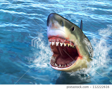 Shark attack Shark attack 112222616