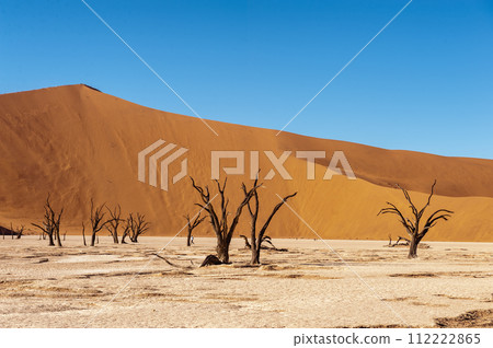 Barren landscape near Deadvlei and sossusvlei 112222865