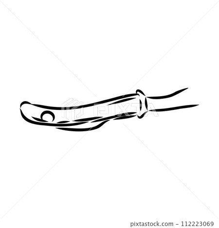 basque pelota vector line icon. playing basque pelota. sport pictogram illustration. 112223069