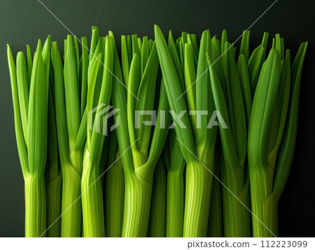 fresh green onions top view 112223099