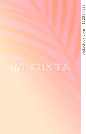 檳榔樹的影子。時尚的背景材料,具有熱帶風情。 檳榔樹的影子。時尚的背景材料,具有熱帶風情。 112224152