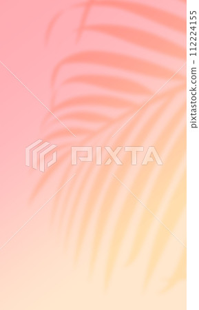 棕櫚葉的影子。具有熱帶氣氛的夏季背景材料。 112224155