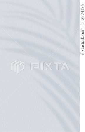 棕櫚葉的影子落在混凝土牆上。時尚的夏季背景材料。 112224156