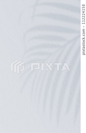 檳榔棕櫚剪影。涼爽的夏季背景材質。 112224158