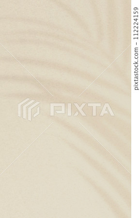 夏季植物。簡單時尚的背景材料讓人想起度假區。 112224159