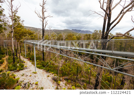 Tahune Airwalk in Tasmania Australia Tahune Airwalk in Tasmania Australia 112224421
