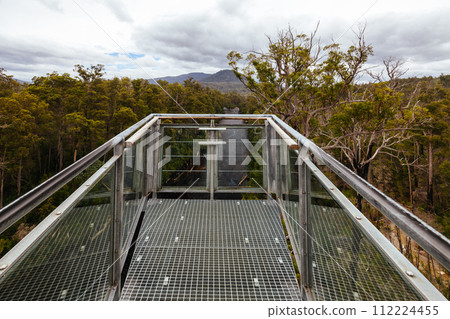 Tahune Airwalk in Tasmania Australia 112224455