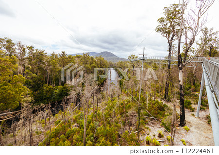 Tahune Airwalk in Tasmania Australia 112224461