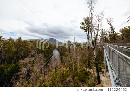 Tahune Airwalk in Tasmania Australia 112224462