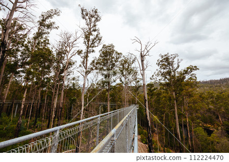 Tahune Airwalk in Tasmania Australia 112224470