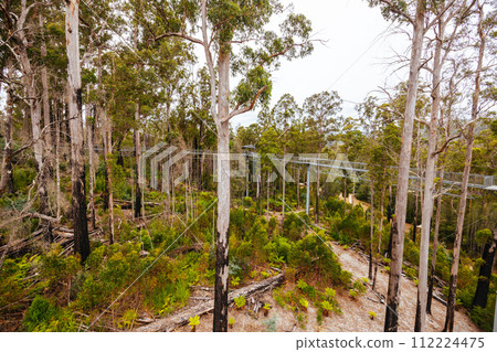 Tahune Airwalk in Tasmania Australia Tahune Airwalk in Tasmania Australia 112224475