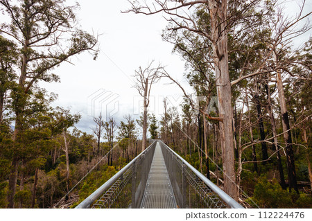 Tahune Airwalk in Tasmania Australia 112224476