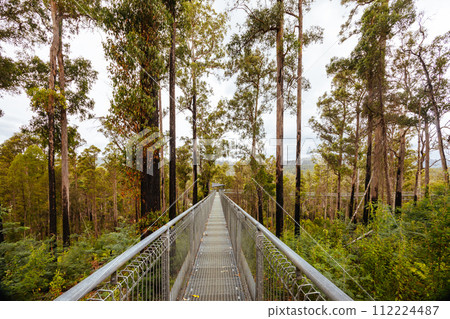 Tahune Airwalk in Tasmania Australia 112224487