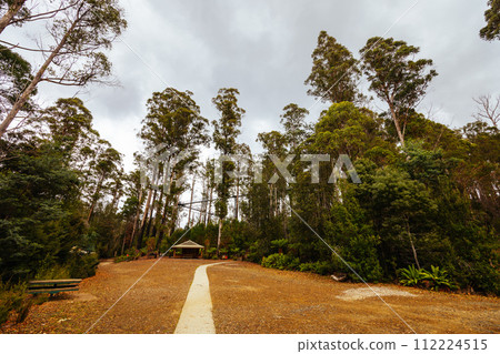 Tahune Airwalk in Tasmania Australia 112224515
