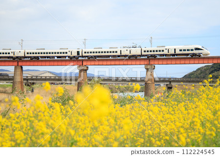 Limited express ``Sonic'' crossing the Yasaka River in spring (JR Kyushu) 112224545